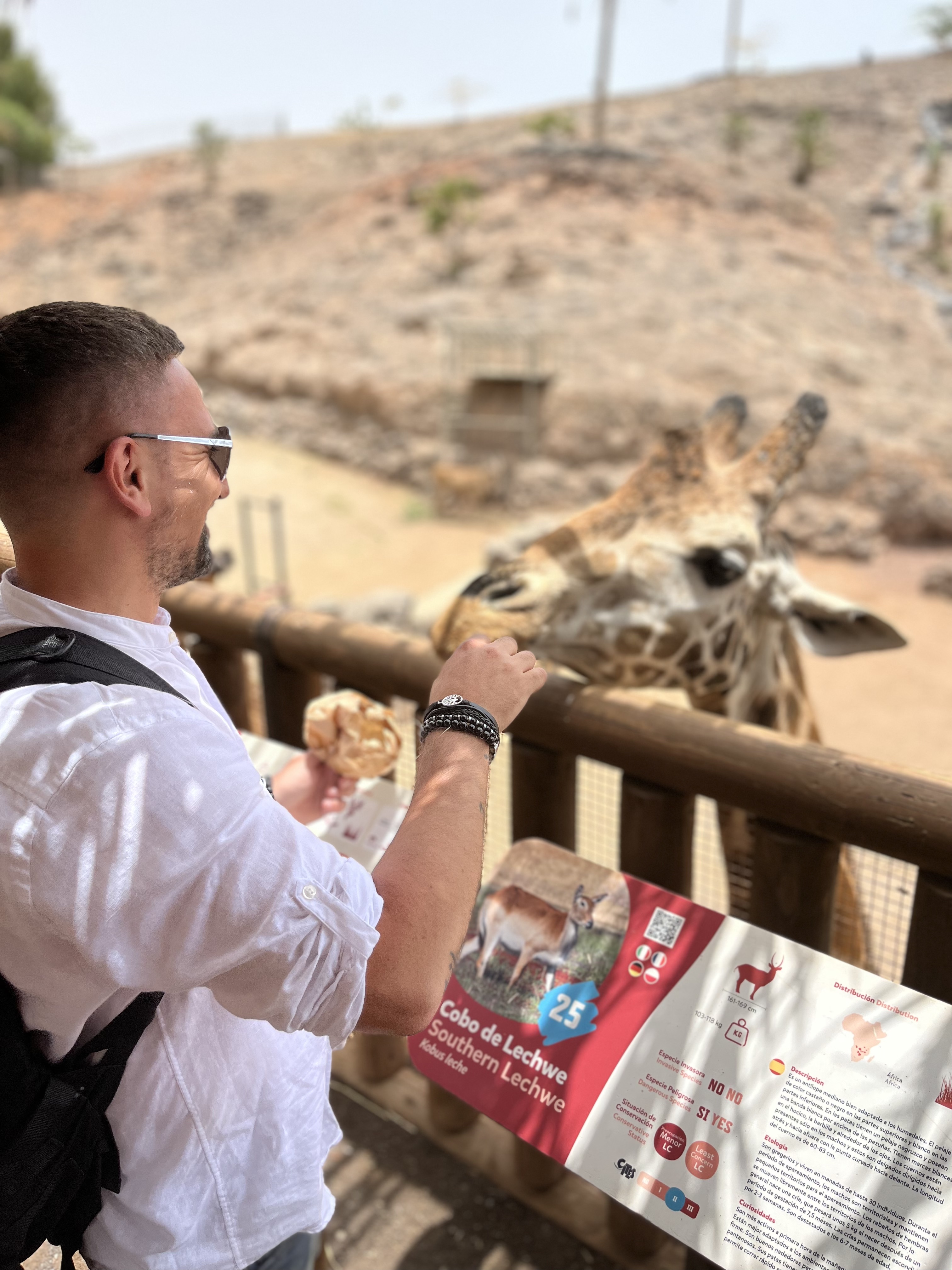 Fuerteventura — rodzinny wyjazd Grega